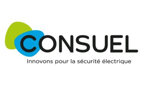Logo consuel
